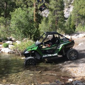 Meet your Posher, Jodi